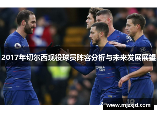 2017年切尔西现役球员阵容分析与未来发展展望